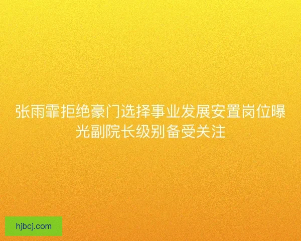 张雨霏拒绝豪门选择事业发展安置岗位曝光副院长级别备受关注