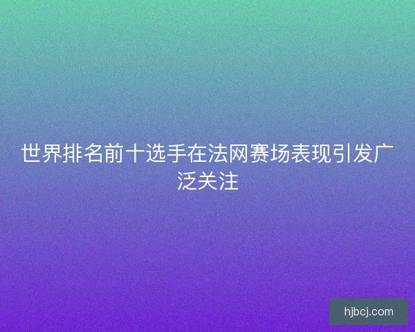 世界排名前十选手在法网赛场表现引发广泛关注