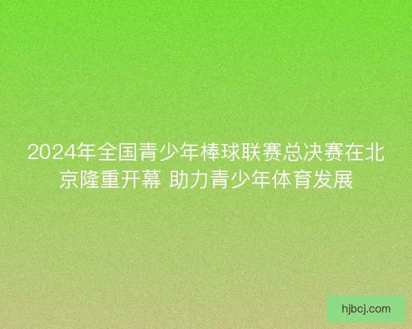 2024年全国青少年棒球联赛总决赛在北京隆重开幕 助力青少年体育发展